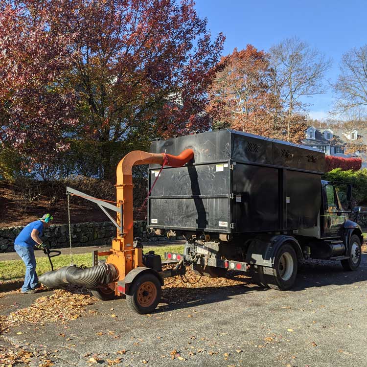 fall clean ups north attleboro mansfield wrentham ma 750px fall clean ups north attleboro mansfield wrentham ma 750px