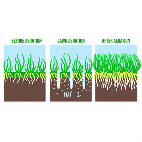 lawn aeration diagram 500px lawn aeration diagram 500px