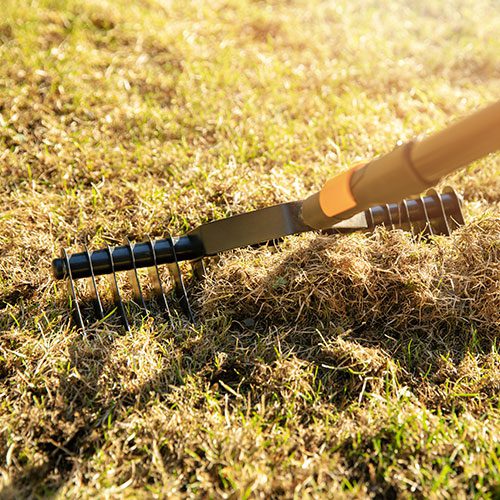 lawn aeration raking 500px lawn aeration raking 500px