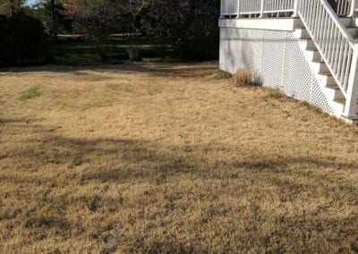 lawn installation before a buckley landscaping img 20170503 074331
