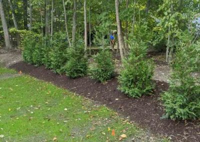 plantings a buckley landscaping img 20191004 124208