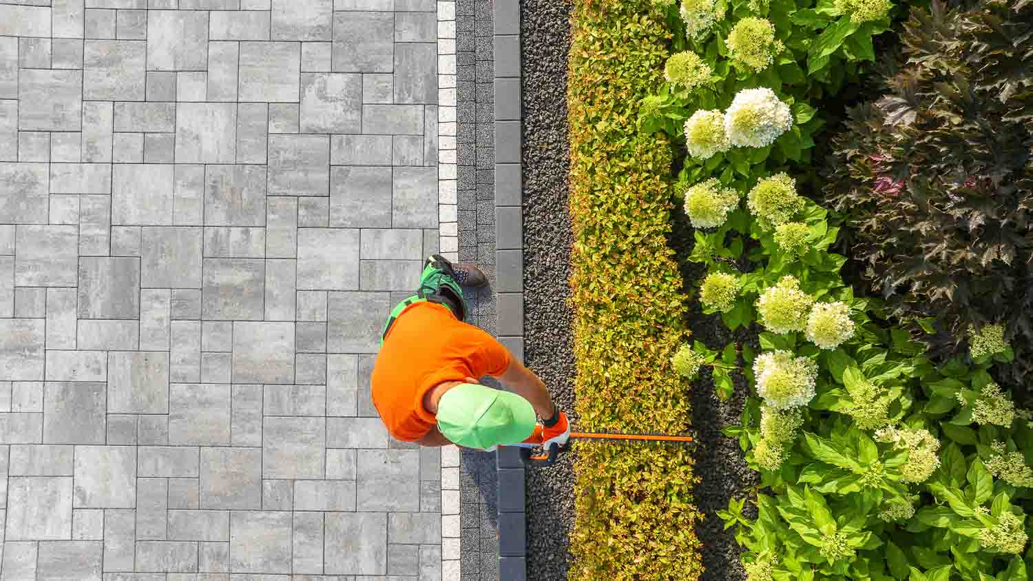 shrub care pruning 3